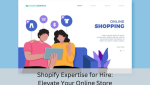 Hire Shopify expert